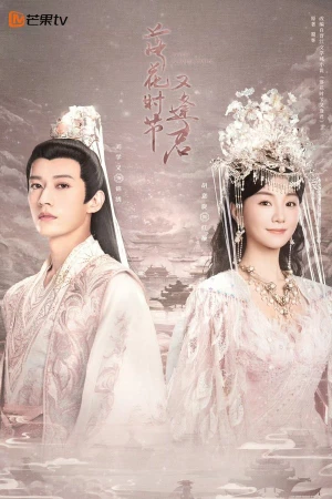 Mùa Hoa Rơi Gặp Lại Chàng